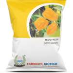 FB-2120 YELLOW HABANERO CHILLI SEEDS (VERY HOT) 10 GM