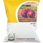 FB-1153 ONION SEEDS (DARK RED, N53) 500 GM (Pack of 10)