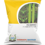 FB-VAMGOLD F1 HYBRID BOTTLE GOURD SEEDS – 25 GM