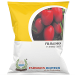 FB- RASHIKA F1Hybrid Tomato Seeds – 10 GM (pack of 10)