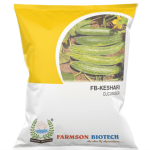 FB-KESHARI CUCUMBER SEEDS – 25 GM (PACK OF 10)