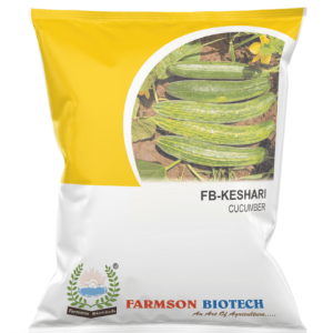 FB-KESHARI CUCUMBER SEEDS – 25 GM (PACK OF 10)