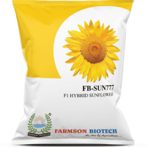 FB-SUN777 F1 HYBRID SUNFLOWER SEEDS – 500 GM
