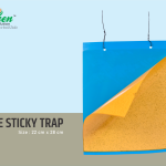 Blue Sticky Trap – 22 Cm X 28 Cm Pack of 10