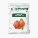 INDO US TOMATO 9999 F1 HY – 10 GM