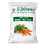 INDO US CARROT ROSSA F1 HY – 500 GM