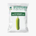 INDO US BOTTLE GOURD RICHMAN F1 HY