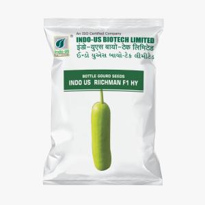 INDO US BOTTLE GOURD RICHMAN F1 HY