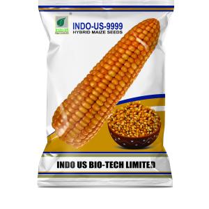 INDO US MAIZE 9999 DC
