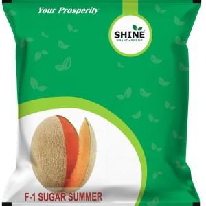 Musk Melon Sugar Summer F1 Hybrid