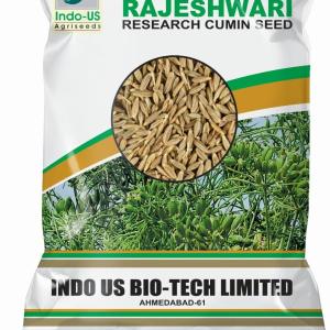 INDO US CUMIN RAJESHWARI CUMIN SEED 2KG